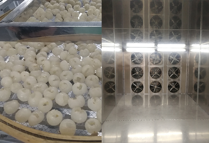 龍眼烘干機(jī)