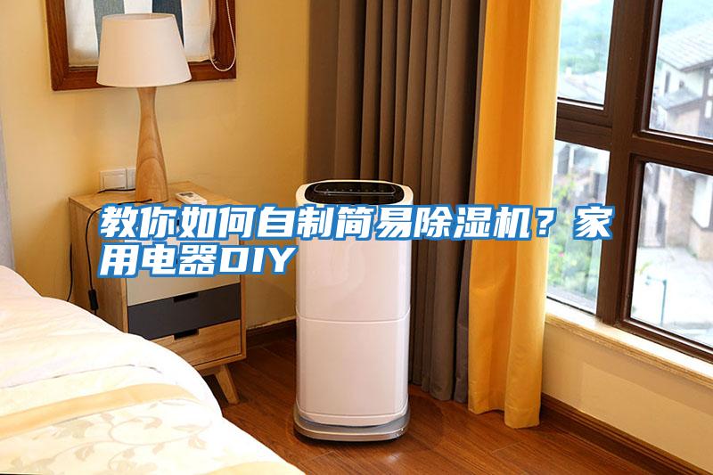 教你如何自制簡易除濕機？家用電器DIY