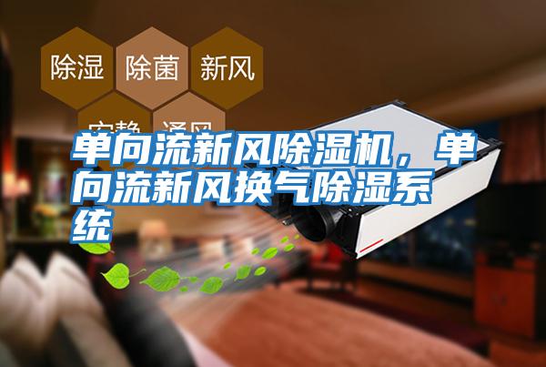 單向流新風除濕機，單向流新風換氣除濕系統
