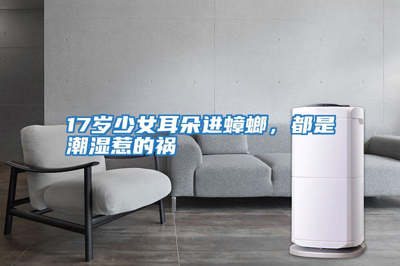 17歲少女耳朵進蟑螂，都是潮濕惹的禍