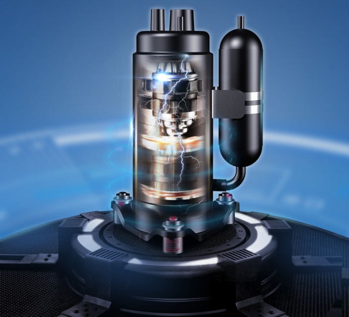 潮濕的木頭長木耳,寒濕的體質長腫瘤!