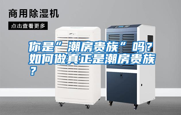 你是”潮房貴族”嗎？如何做真正是潮房貴族？