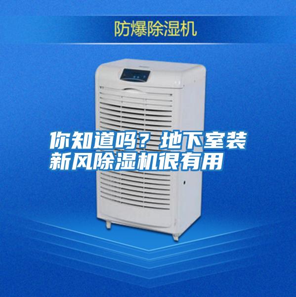 你知道嗎？地下室裝新風除濕機很有用