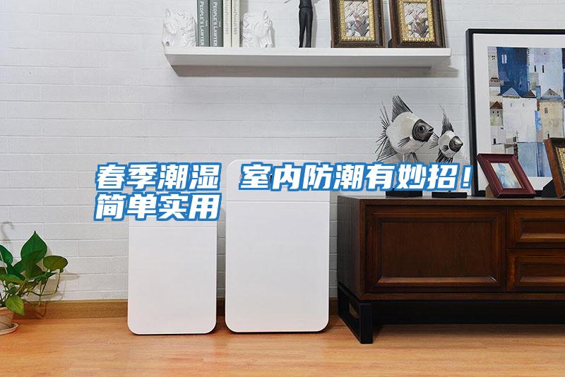 春季潮濕 室內(nèi)防潮有妙招！簡單實用