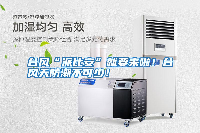 臺風“派比安”就要來啦！臺風天防潮不可少！