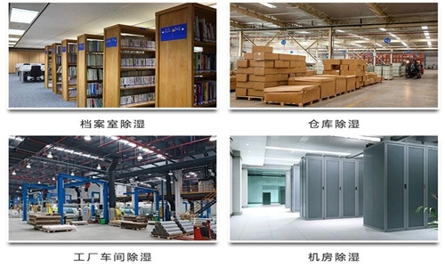 潮濕天氣，收藏品如何除濕防潮有妙招