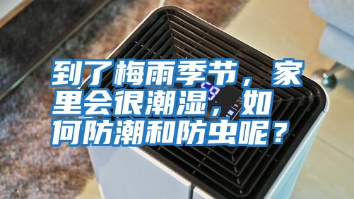 到了梅雨季節，家里會很潮濕，如何防潮和防蟲呢？