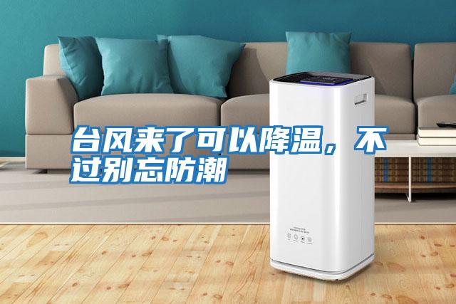 臺(tái)風(fēng)來(lái)了可以降溫，不過(guò)別忘防潮