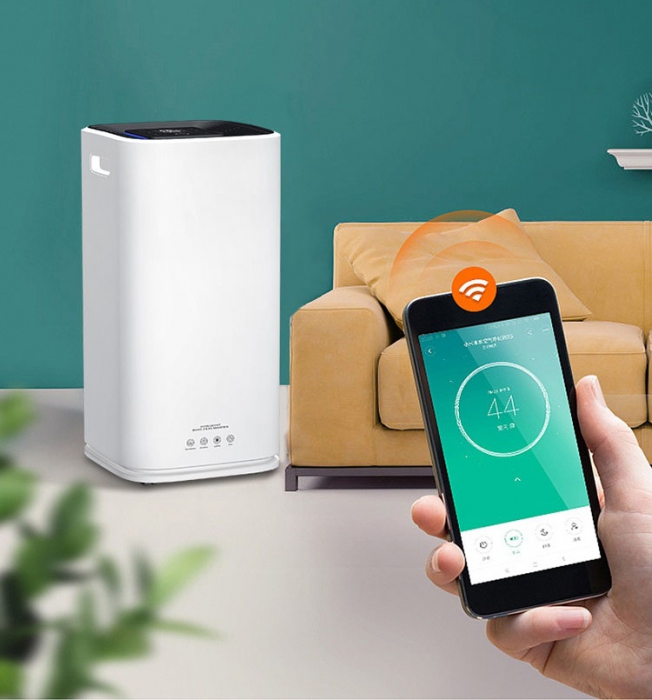 梅雨季防潮神器：空凈除濕雙管齊下！