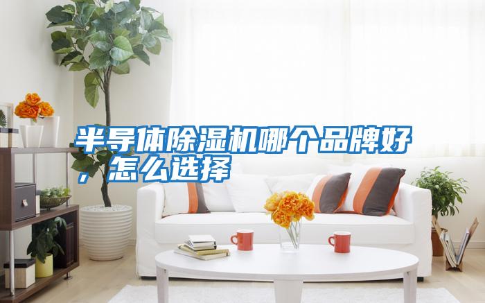 半導(dǎo)體除濕機(jī)哪個(gè)品牌好，怎么選擇