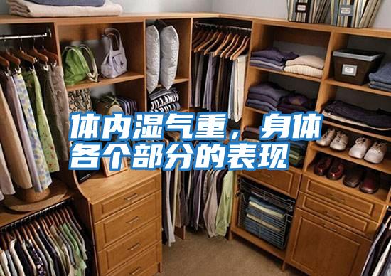 體內(nèi)濕氣重,身體各個(gè)部分的表現(xiàn)