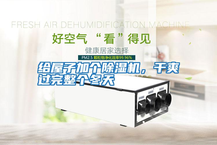 給屋子加個除濕機，干爽過完整個冬天