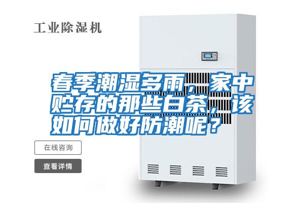 春季潮濕多雨，家中貯存的那些白茶，該如何做好防潮呢？