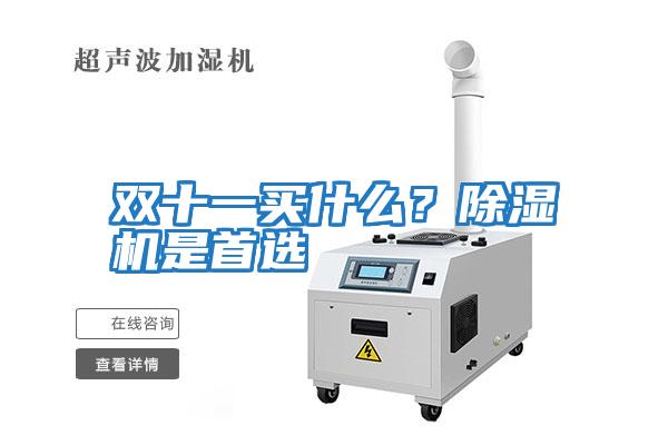 雙十一買(mǎi)什么?除濕機(jī)是首選