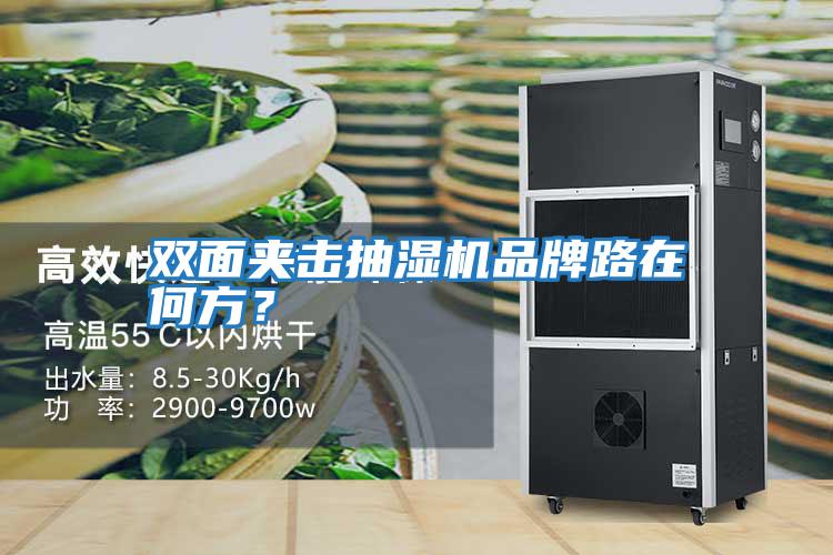 雙面夾擊抽濕機(jī)品牌路在何方？