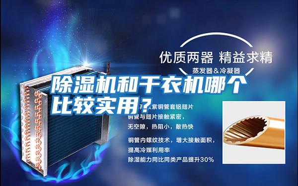 除濕機和干衣機哪個比較實用?