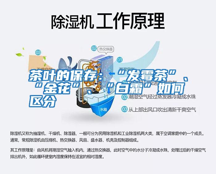 茶葉的保存：“發霉茶”、“金花”、“白霜”如何區分
