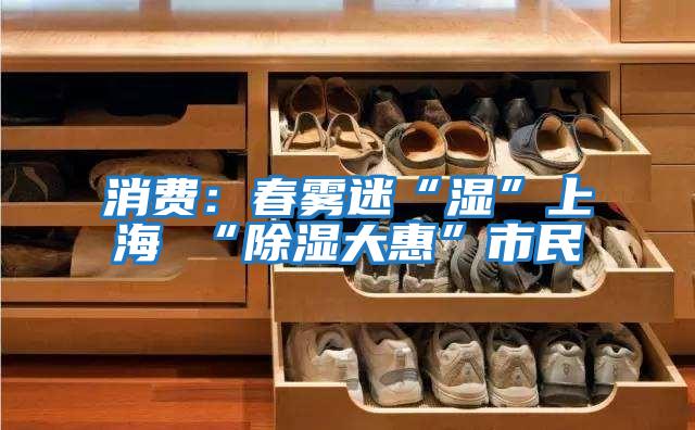 消費(fèi):春霧迷“濕”上海 “除濕大惠”市民