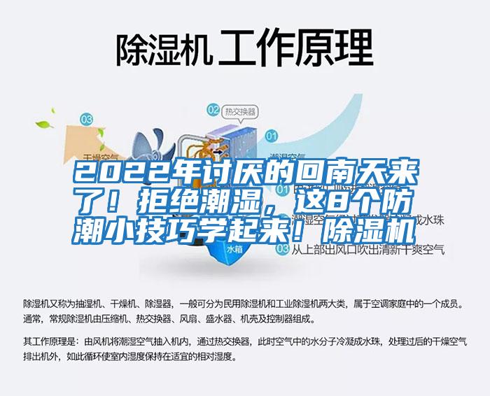 2022年討厭的回南天來了！拒絕潮濕，這8個防潮小技巧學起來！除濕機