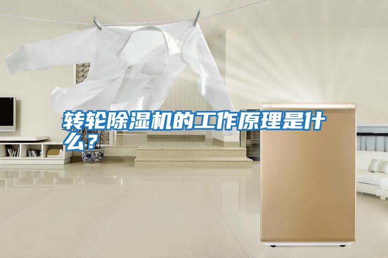 轉輪除濕機的工作原理是什么?