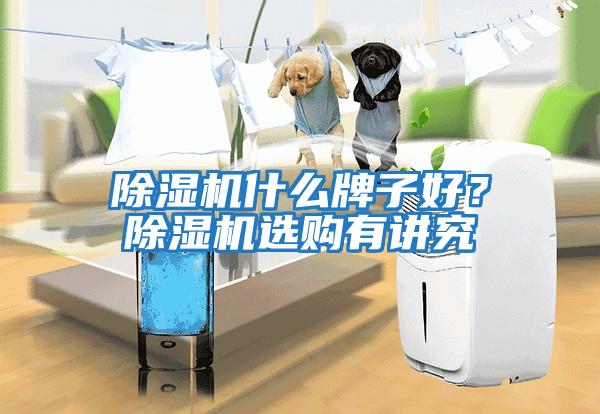 除濕機(jī)什么牌子好？除濕機(jī)選購有講究