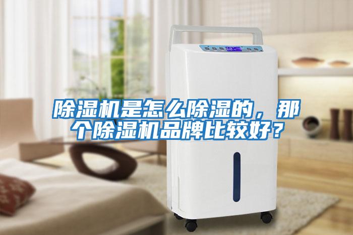 除濕機(jī)是怎么除濕的,那個(gè)除濕機(jī)品牌比較好?