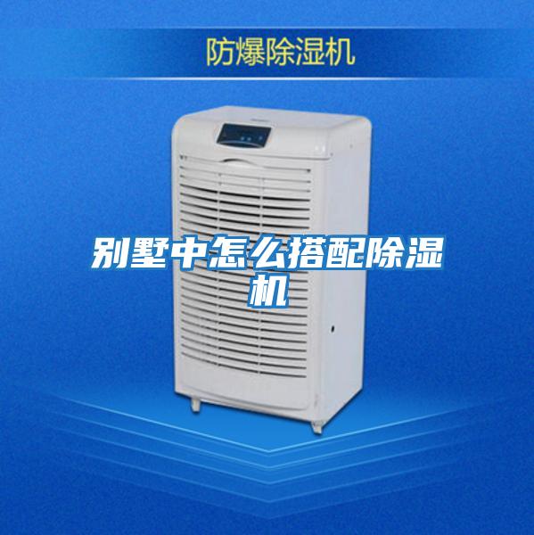 別墅中怎么搭配除濕機