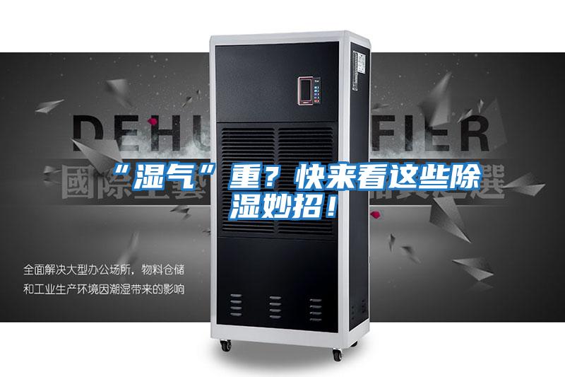 “濕氣”重？快來看這些除濕妙招！