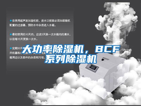大功率除濕機，BCF系列除濕機