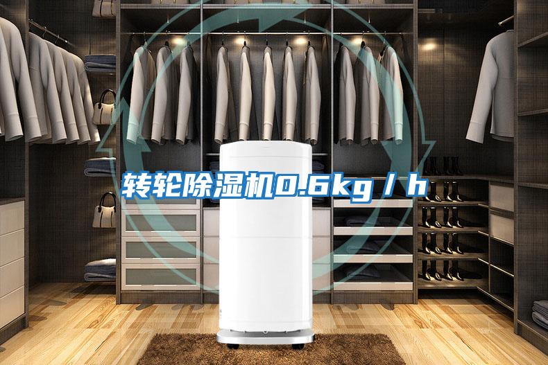 轉(zhuǎn)輪除濕機(jī)0.6kg/h