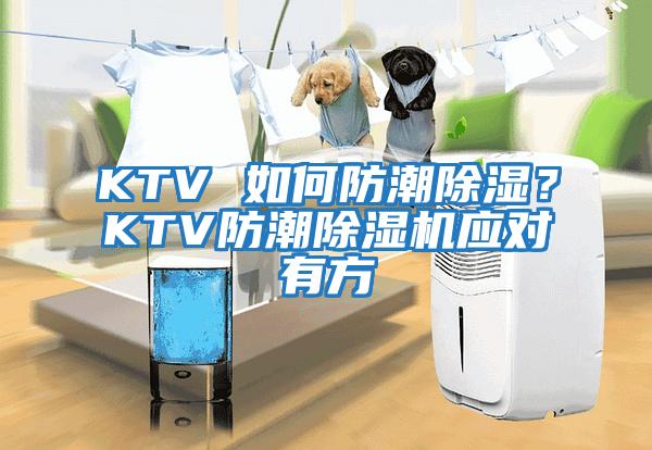 KTV 如何防潮除濕？KTV防潮除濕機應(yīng)對有方