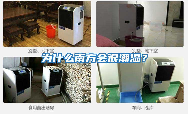 為什么南方會很潮濕？