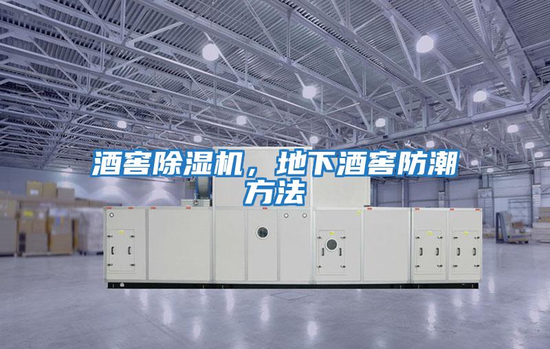 酒窖除濕機,地下酒窖防潮方法