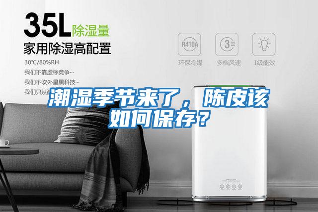 潮濕季節(jié)來了,陳皮該如何保存?