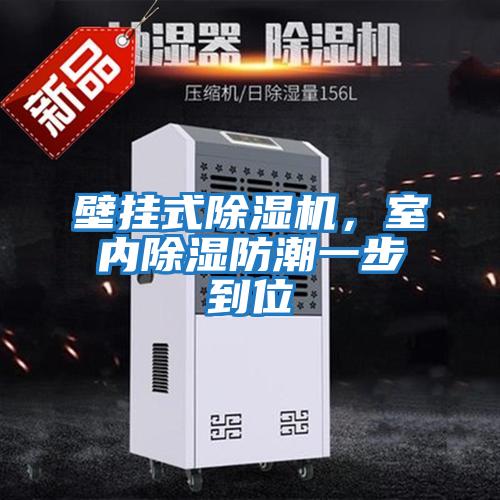 壁掛式除濕機，室內(nèi)除濕防潮一步到位