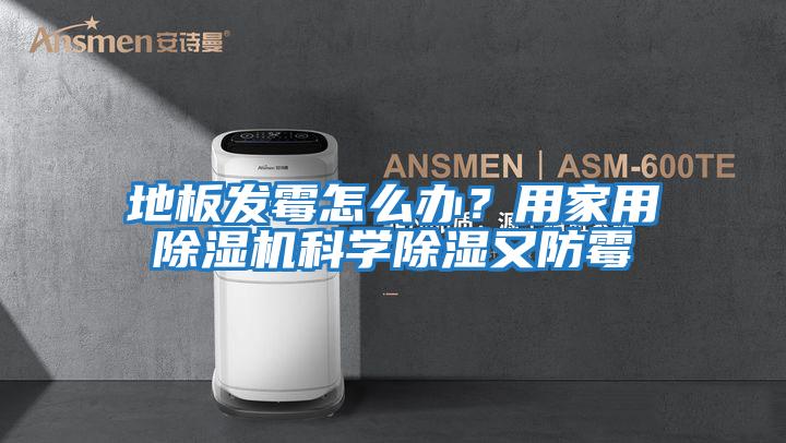 地板發霉怎么辦？用家用除濕機科學除濕又防霉