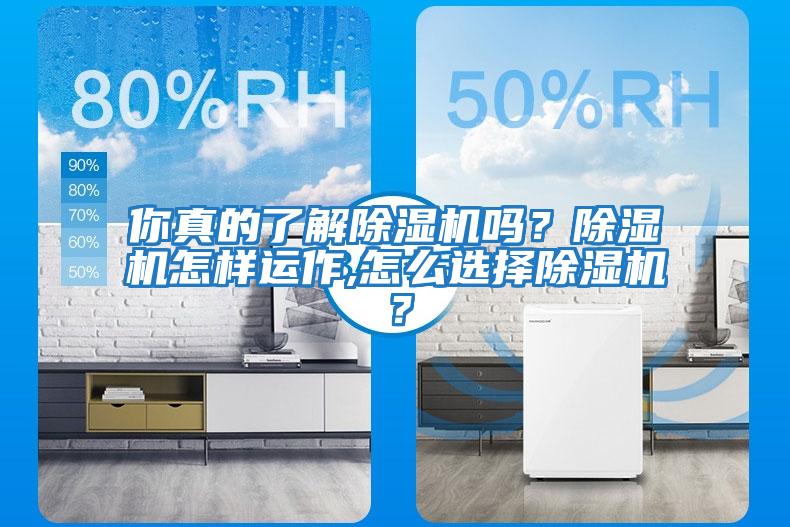 你真的了解除濕機嗎?除濕機怎樣運作,怎么選擇除濕機?