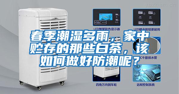 春季潮濕多雨，家中貯存的那些白茶，該如何做好防潮呢？