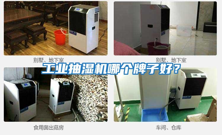 工業(yè)抽濕機哪個牌子好?