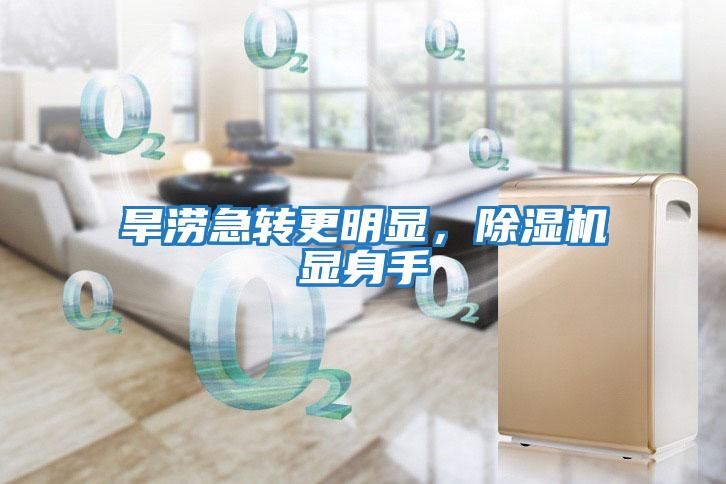 旱澇急轉更明顯，除濕機顯身手