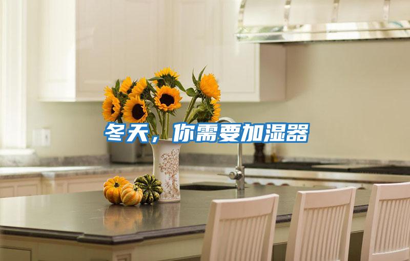 冬天，你需要加濕器