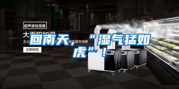 回南天,“濕氣猛如虎”!