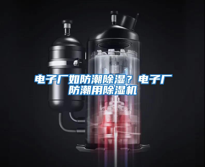 電子廠如防潮除濕？電子廠防潮用除濕機(jī)