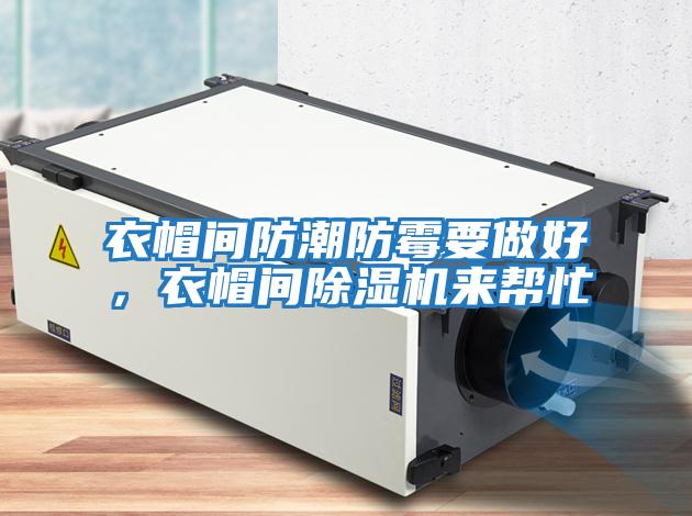 衣帽間防潮防霉要做好，衣帽間除濕機來幫忙