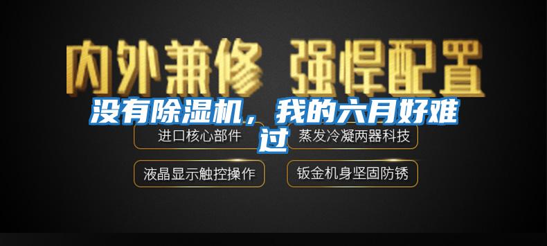 沒(méi)有除濕機(jī),我的六月好難過(guò)