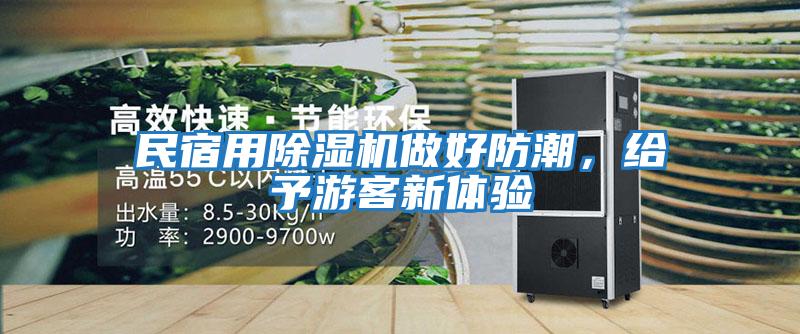 民宿用除濕機做好防潮，給予游客新體驗
