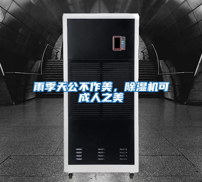 雨季天公不作美,除濕機可成人之美
