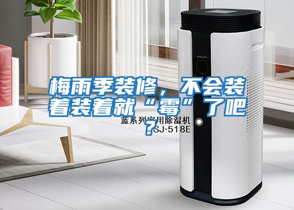 梅雨季裝修，不會裝著裝著就“霉”了吧？