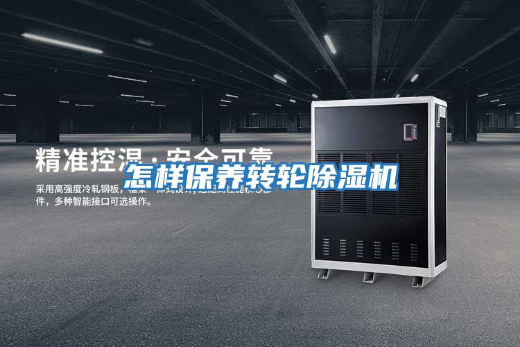 怎樣保養(yǎng)轉(zhuǎn)輪除濕機