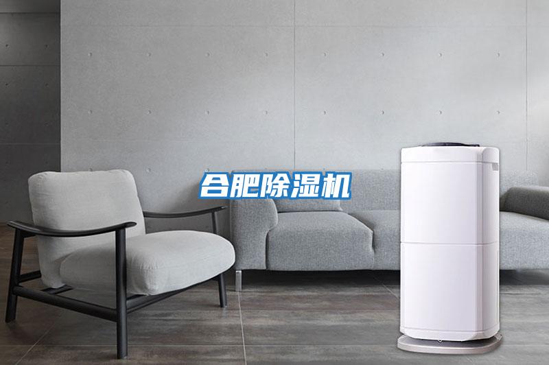 合肥除濕機